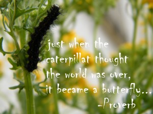 don't stop now...your wings are in the making/insightfromawoman's heart