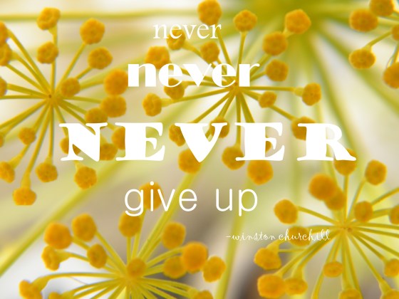 never give up/insight from a woman's heart