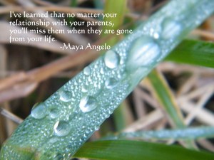 parents/insight from a woman's heart