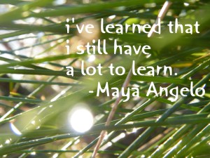 learn/insight from a woman's heart