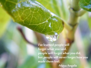 how you make people feel/insight from a woman's heart