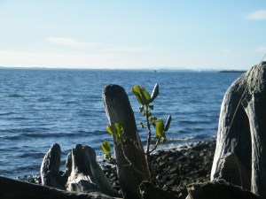 peaceful/insight to a woman's heart