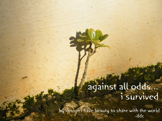 against all odds/insight from a woman's heart