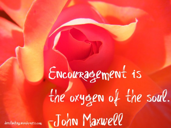 encouragement/insight from a woman's heart