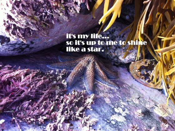 it's my life/insight from a woman's heart