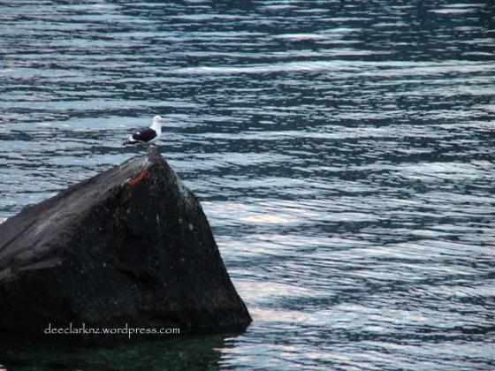 rocktime/insights from a woman's heart