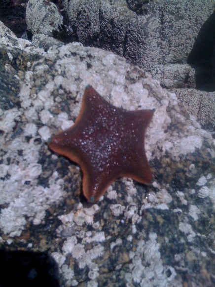 Two sides/insight from a woman's heart