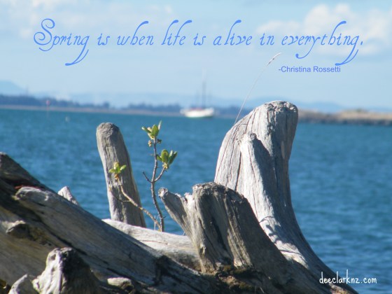 springtime brings life/insight from a woman's heart